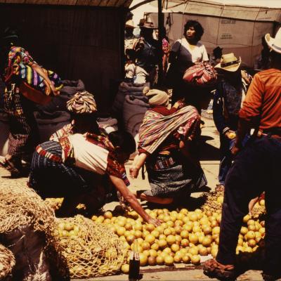 Lm Quatemala Markt